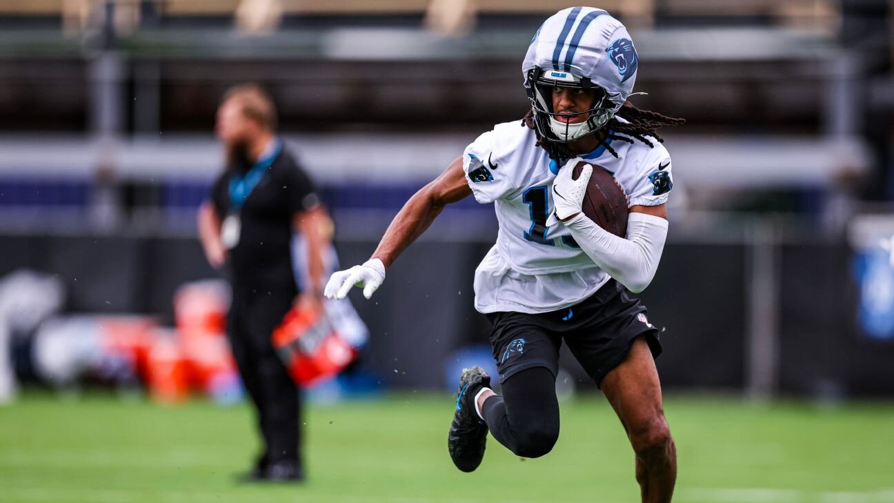 Panthers rookie WR Chris Brazzell injures knee, having tests
