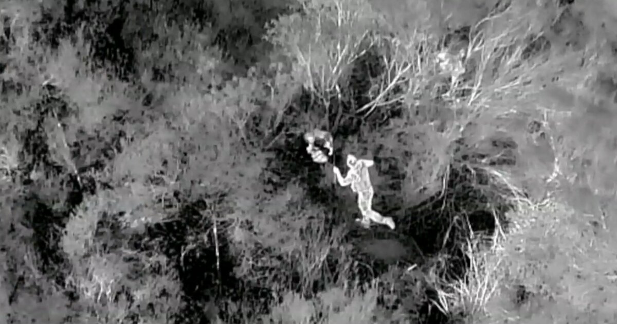 How drones are revolutionizing the search for lost pets