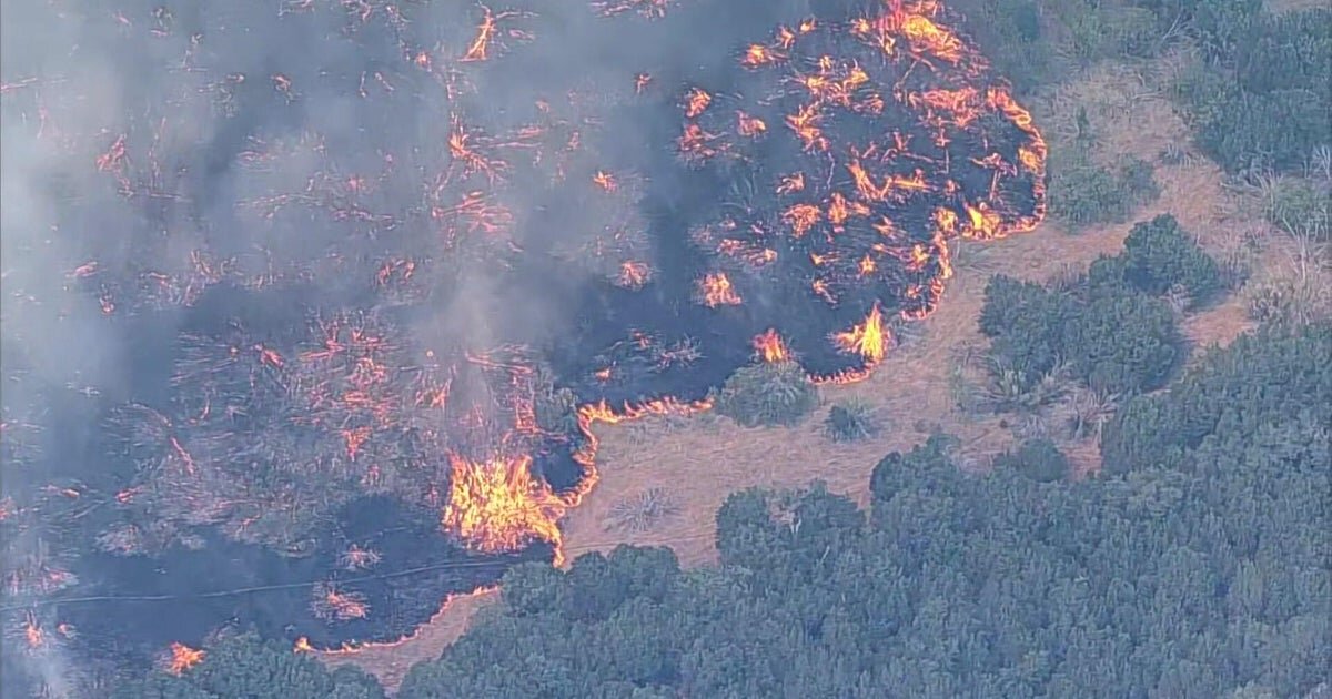 Ross Fire explodes to over 50,000 acres, forces evacuations in North Texas