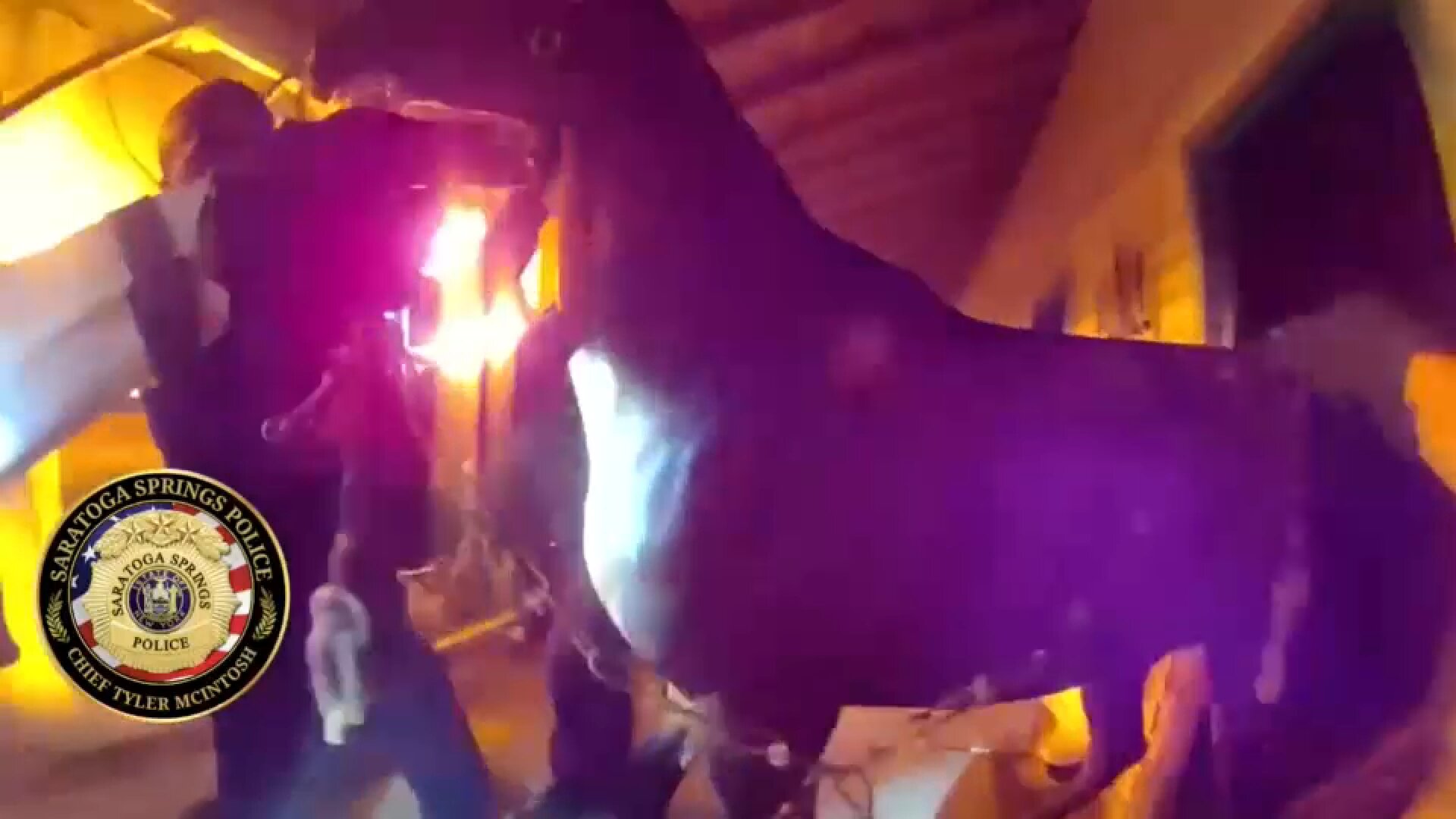 Bodycam video shows officers rescuing horses from barn fire in Saratoga Springs