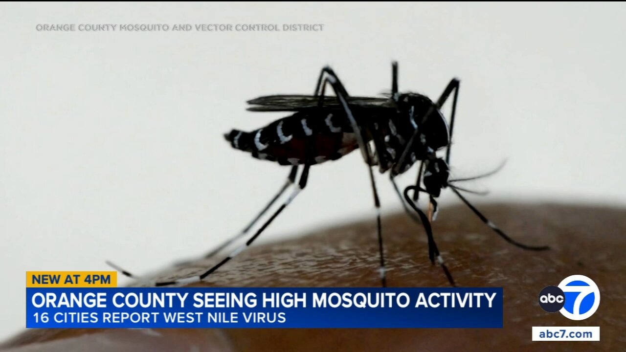 Officials: O.C. could see its worst West Nile virus season in county history