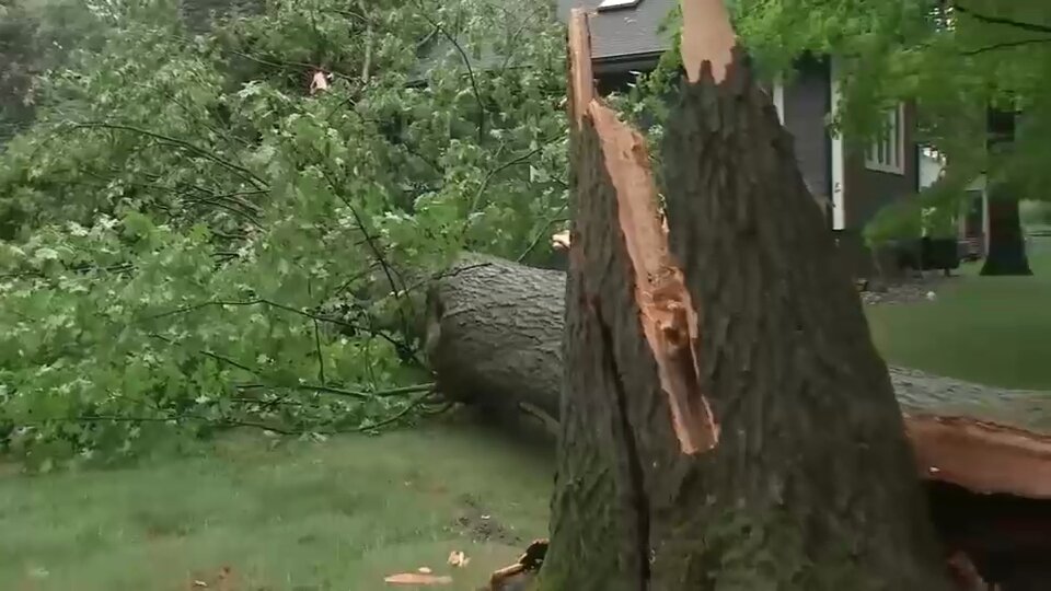 Storms leave flooded roads, fallen trees and damaged homes across New Jersey