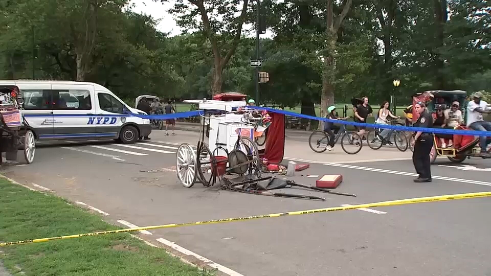 New questions emerge over what may have led to Central Park deadly horse carriage accident