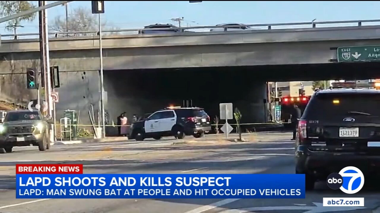 Man fatally shot by LAPD after allegedly swinging bat at bystanders, cars