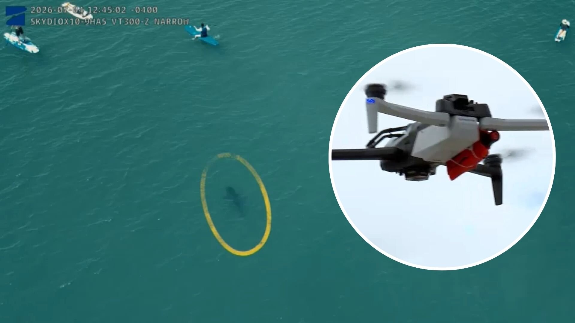 NYPD demonstrates shark spotting technology at Rockaway Beach as sightings increase