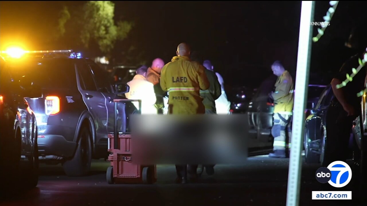 Man fatally shot in the head is found by person walking dog in Van Nuys; shooter at large