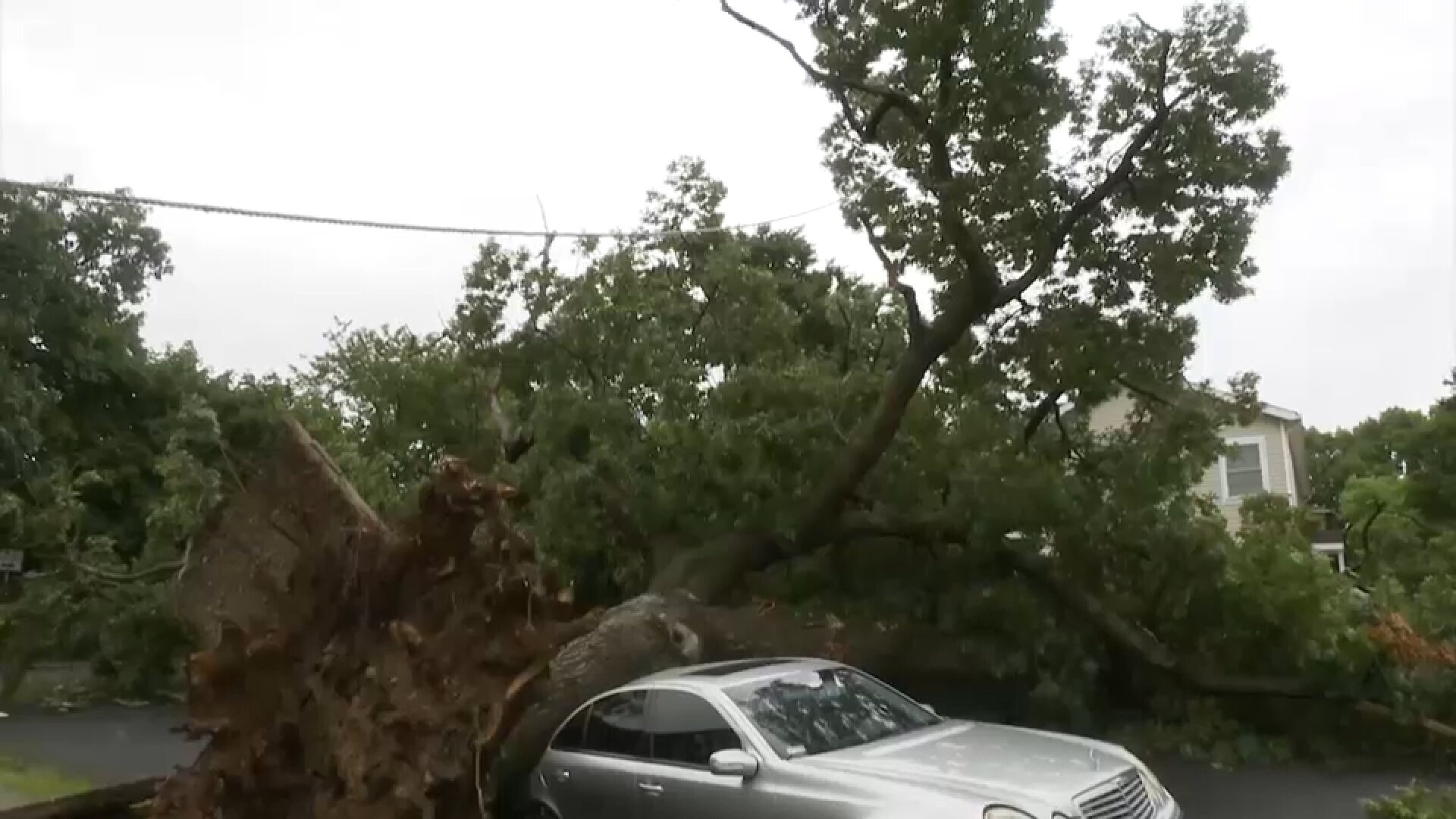 Vehicles crushed by trees in Queens during soaking storms
