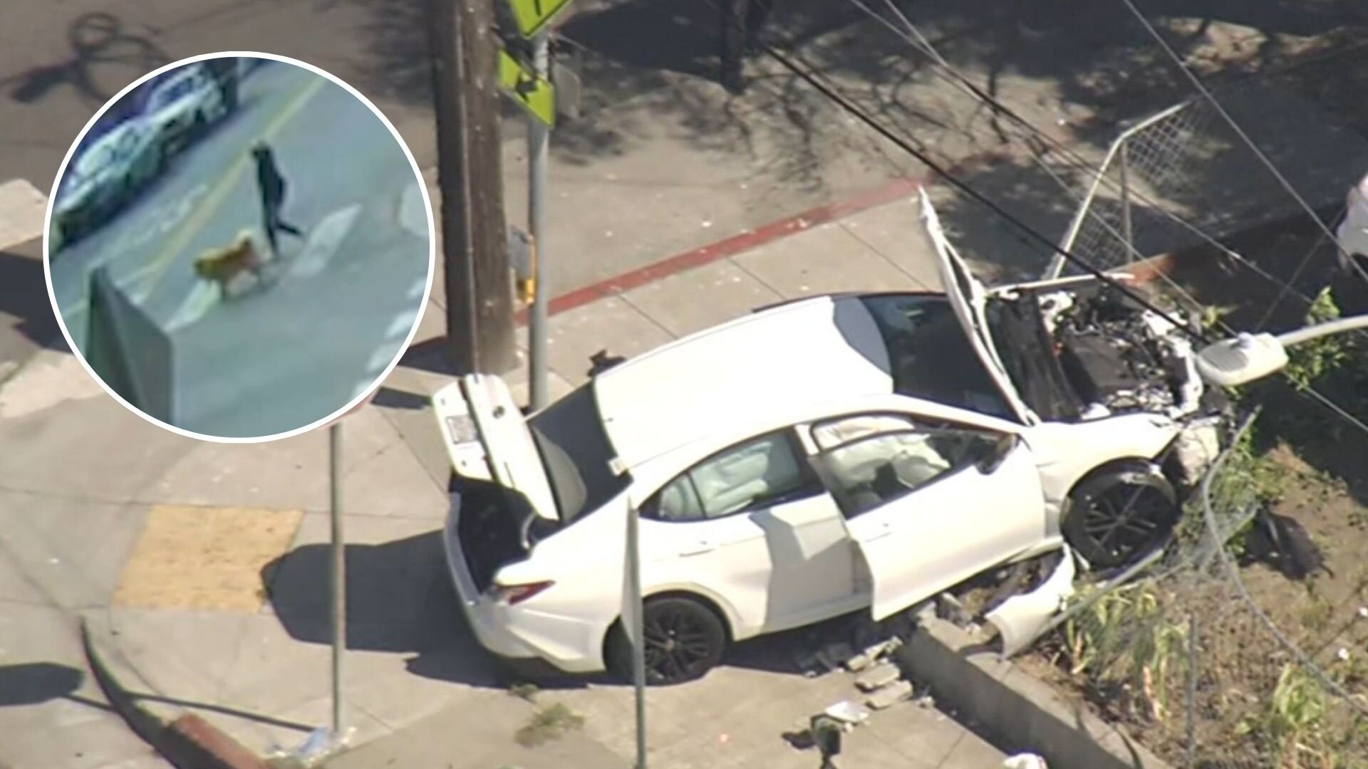 7 and 4-year-old brothers take parents' car, critically injure woman walking dog in Oakland crash