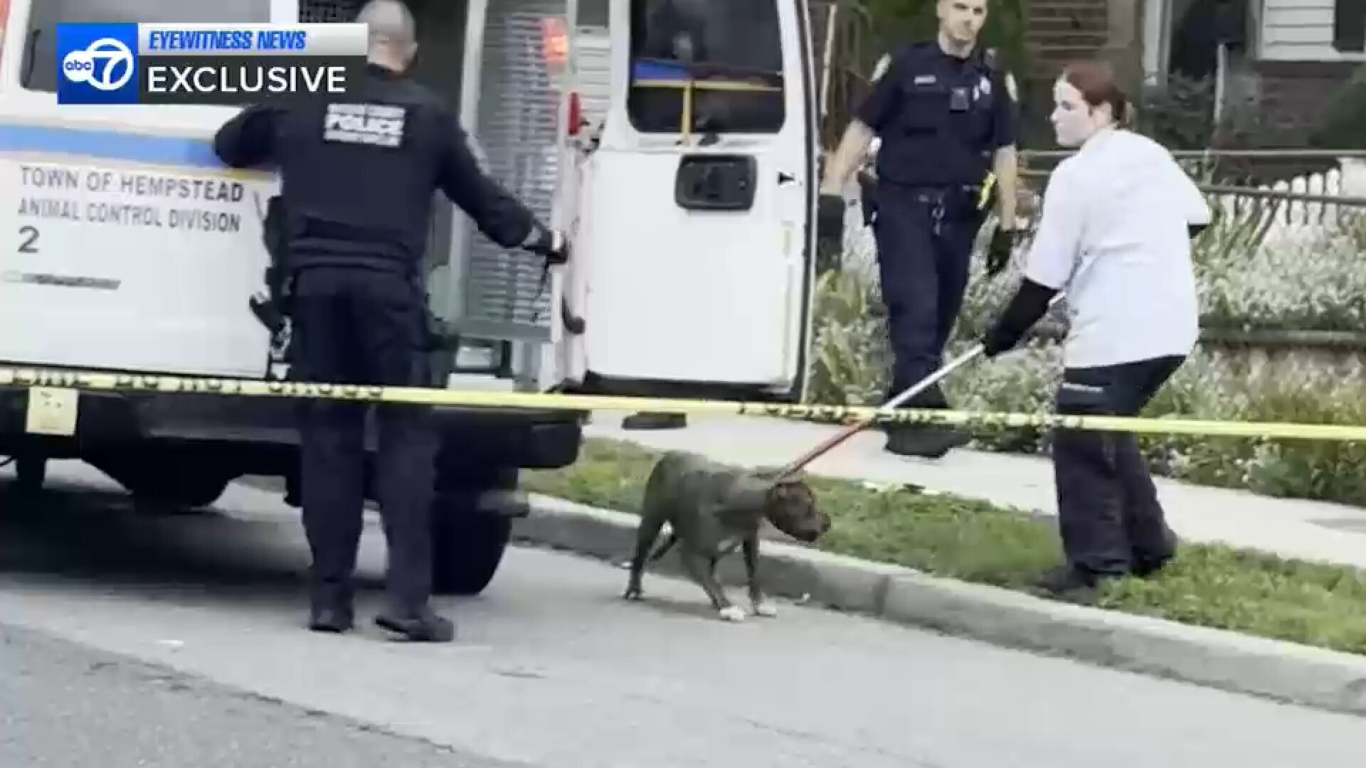 75-year-old woman attacked by her own 2 pit bulls outside Valley Stream home
