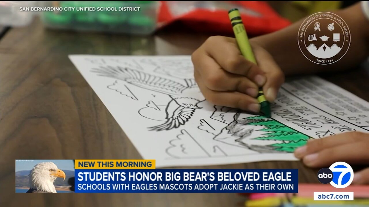 Bald eagle Jackie's death turns into lesson in nature and grief for SoCal students