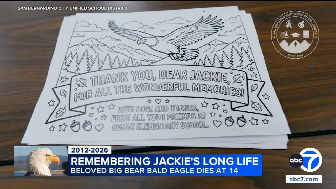 Bald eagle Jackie's death turns into lesson in nature and grief for SoCal students