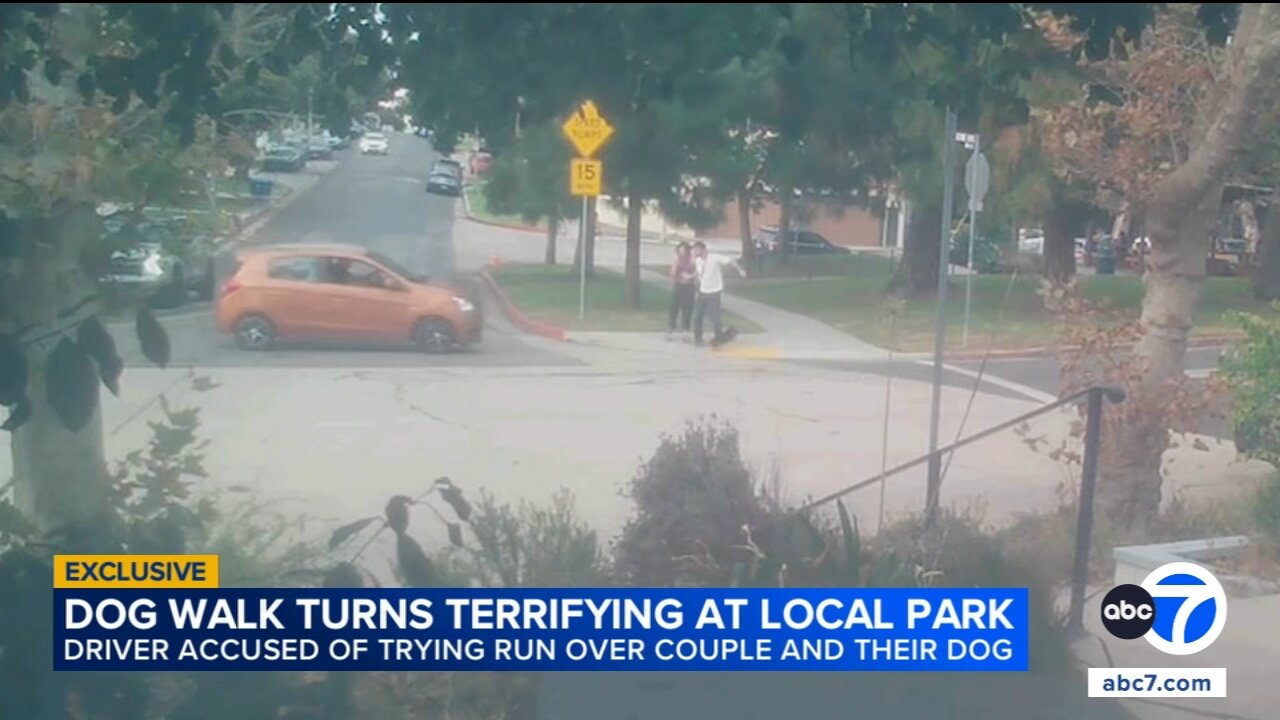 Driver accused of trying to run over couple and their dog during walk at the park in LA