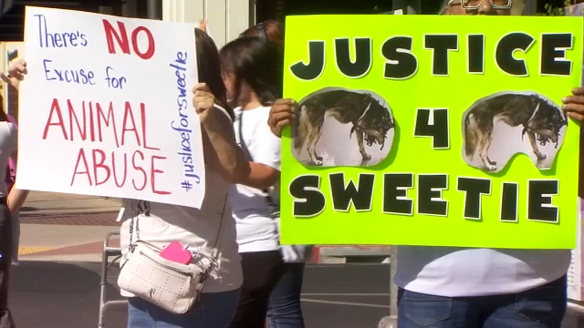 Supporters rally for justice for Merced, California husky named Sweetie amid animal cruelty investigation