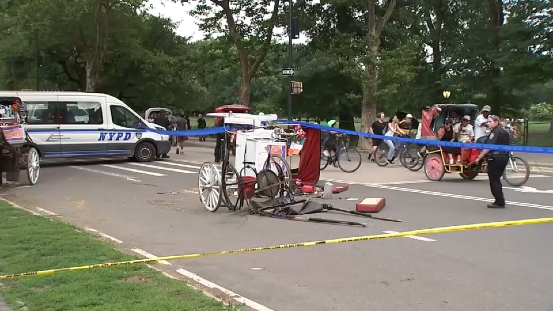 Family of tourist killed in Central Park horse carriage accident to file $105M lawsuit