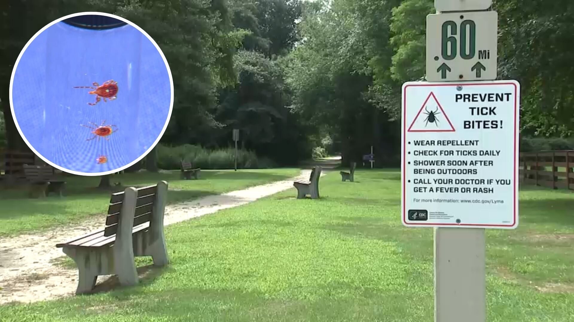 How Suffolk County is fighting the rising tick population and ways to protect yourself