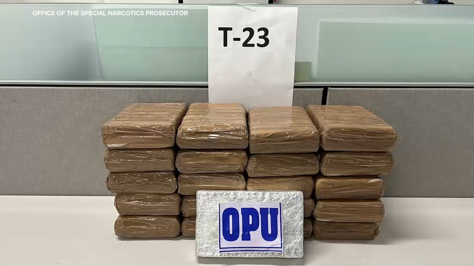 30 kilos of cocaine seized from UPS stores in New York City