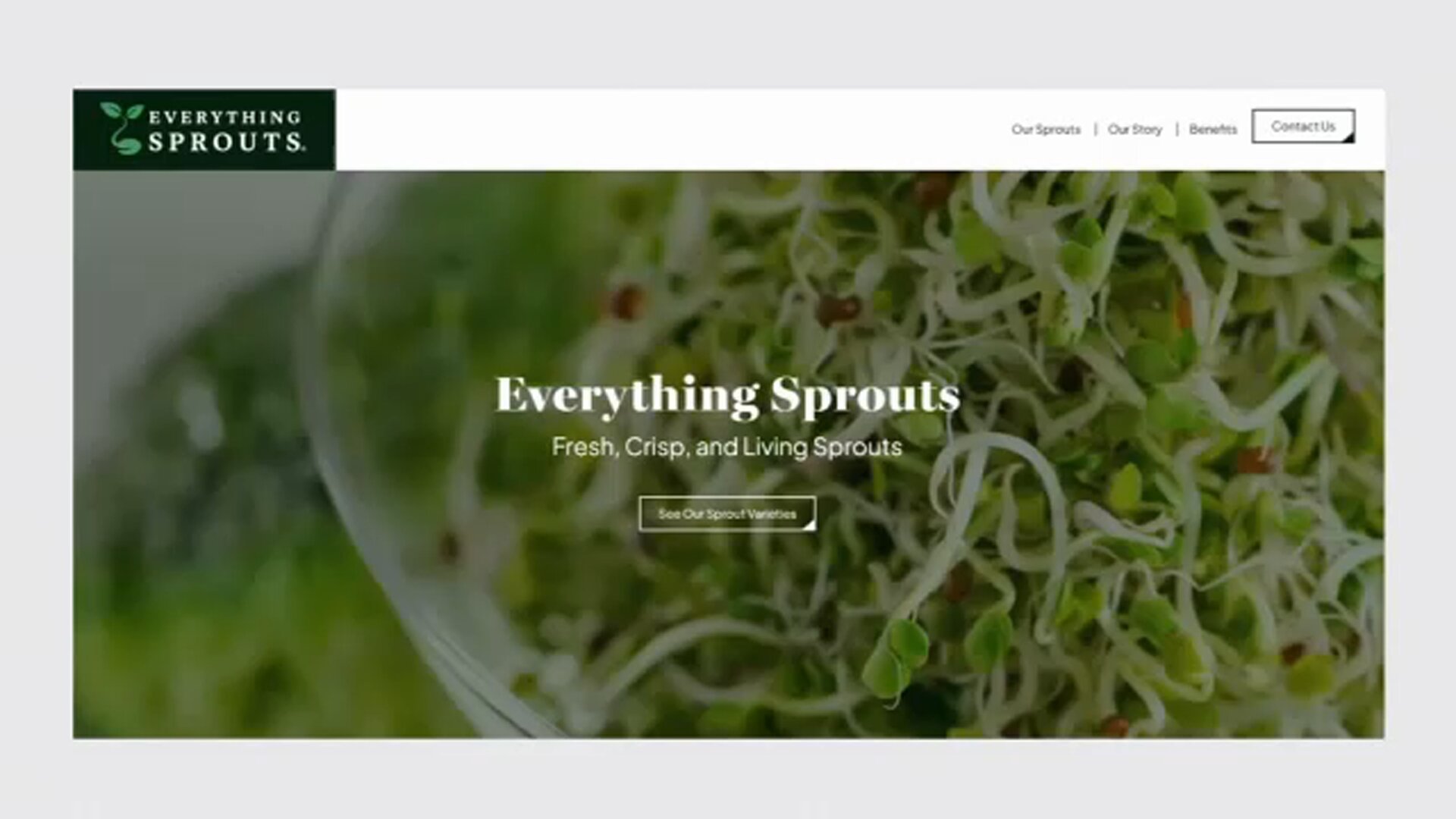At least 55 sickened in salmonella, E. coli outbreak linked to alfalfa sprouts in 15 states; 4 hospitalized