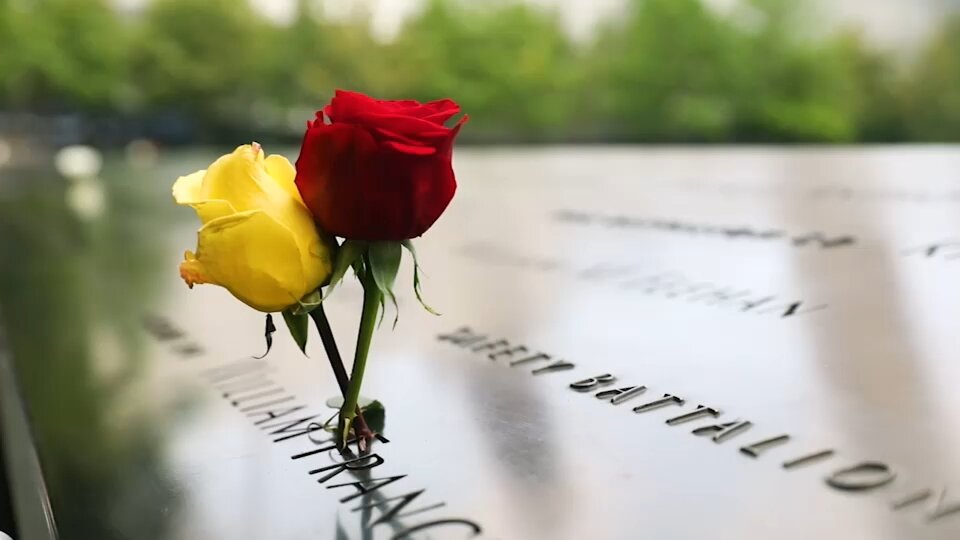Breakthrough' genealogy tests can identify 9/11 victims 25 years later