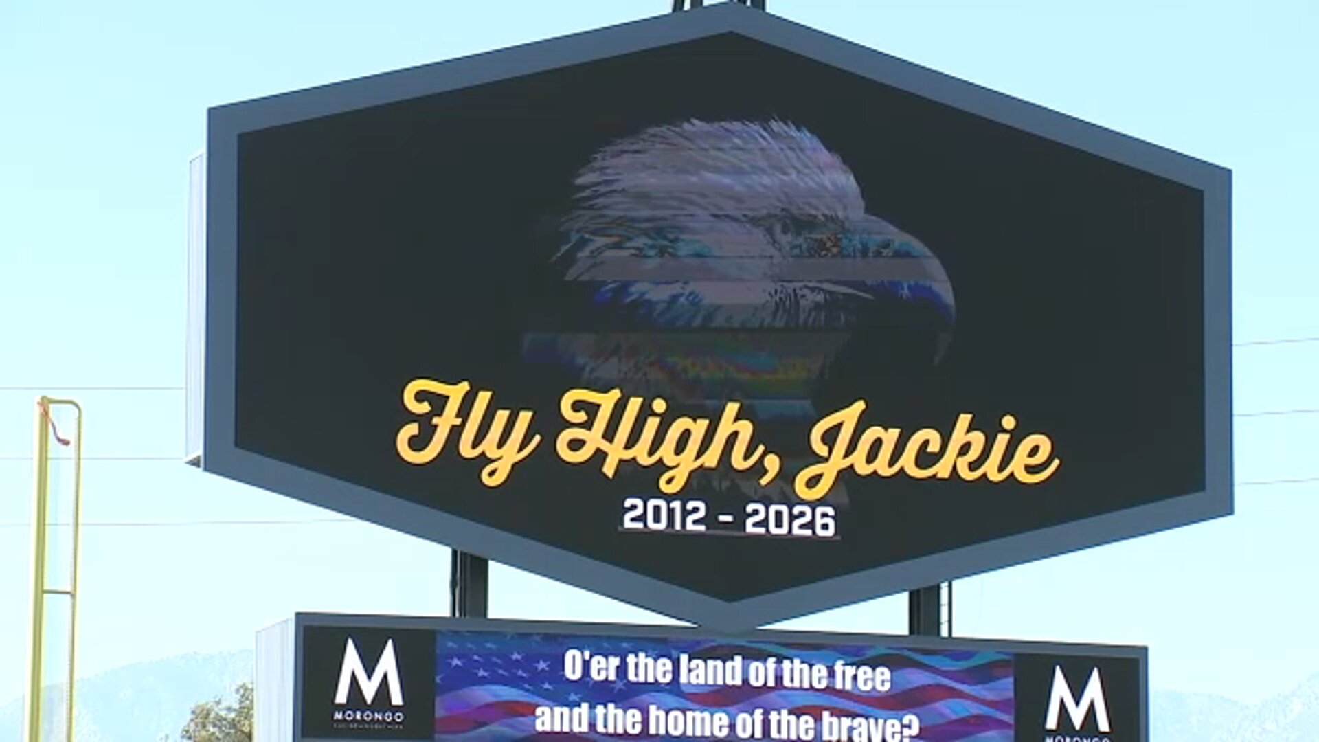 Ontario Tower Buzzers honor beloved Big Bear eagle with 'Fly High, Jackie Night