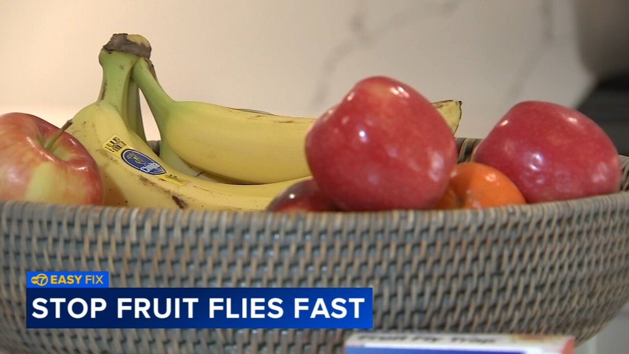 How to get rid of fruit flies and keep them out of your kitchen