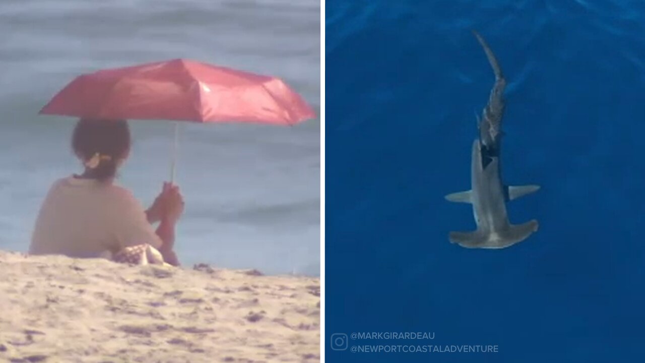 SoCal heat: Beachgoers flock to OC beaches while officials monitor increased marine activity