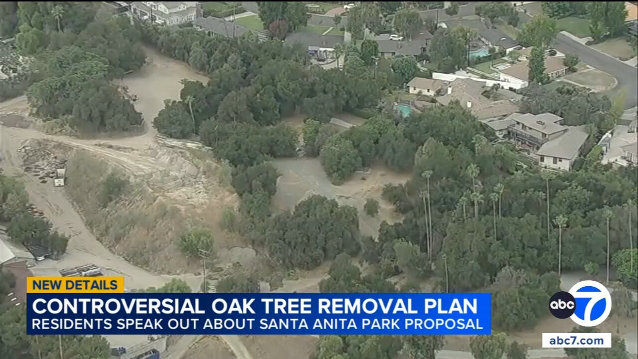 Arcadia residents push back on Santa Anita Park's plan to remove trees for 2028 Olympics