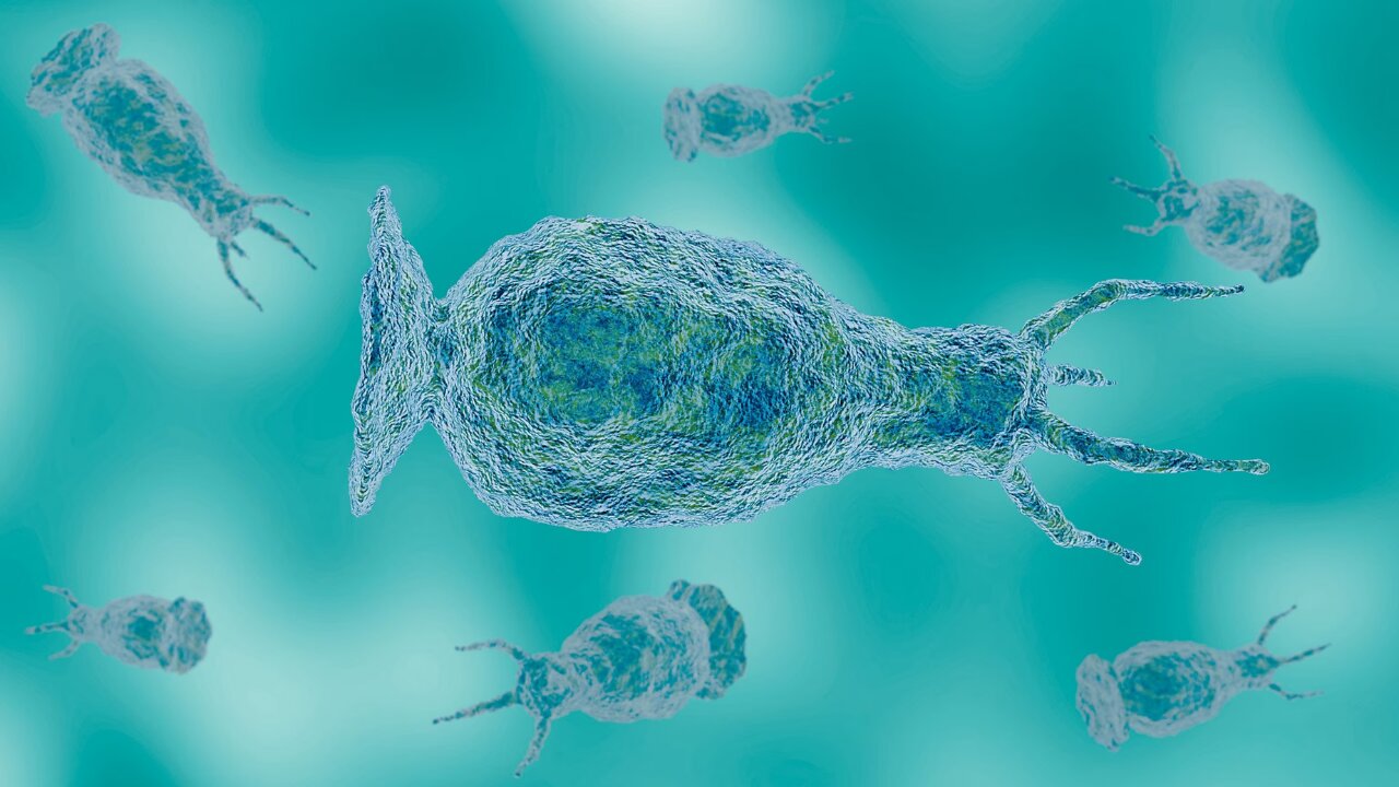 North Carolina teen dies from rare brain-eating amoeba found in freshwater: Health officials