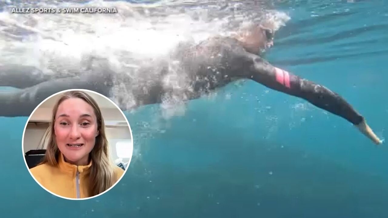 California woman hits halfway mark in bid to become first to swim state's entire 900-mile coastline