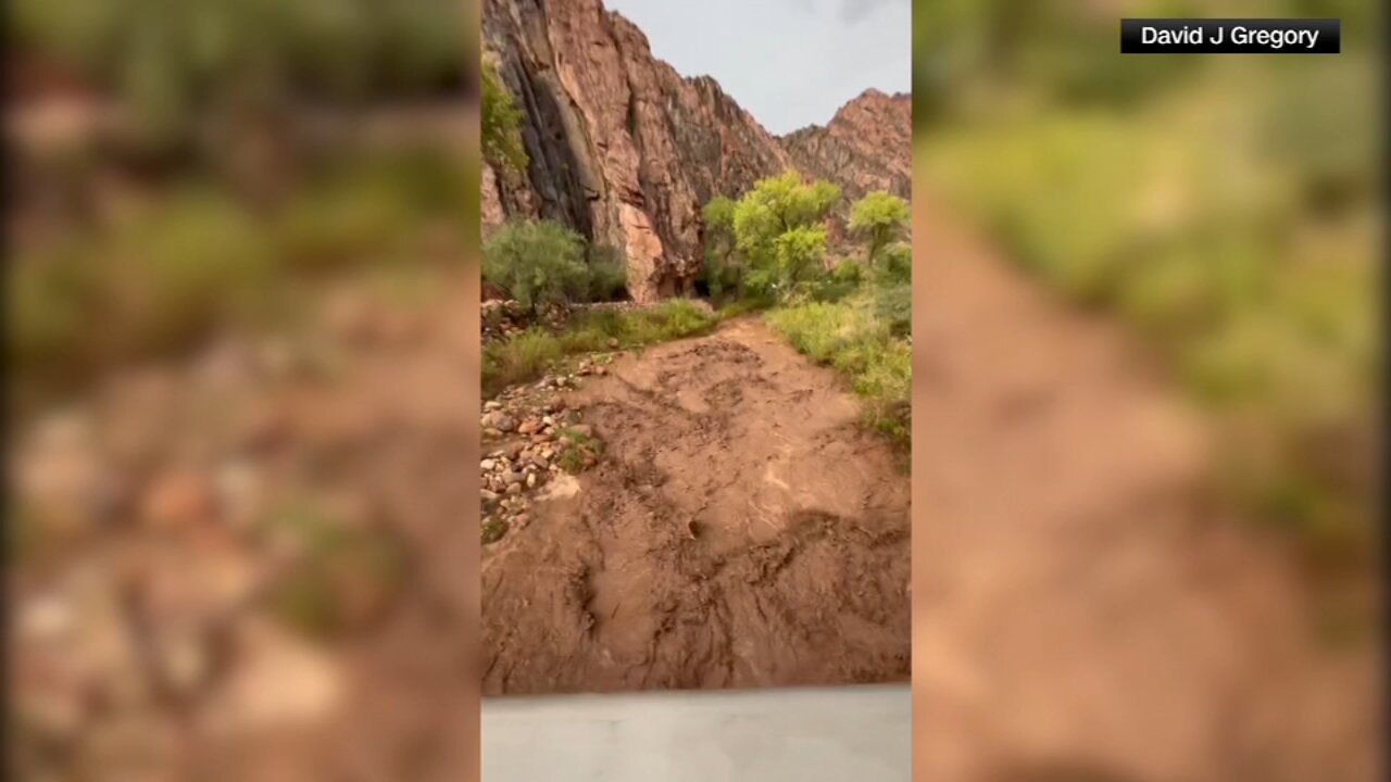 Dozens evacuated from Grand Canyon after flash flood hits creek leading to the Colorado River