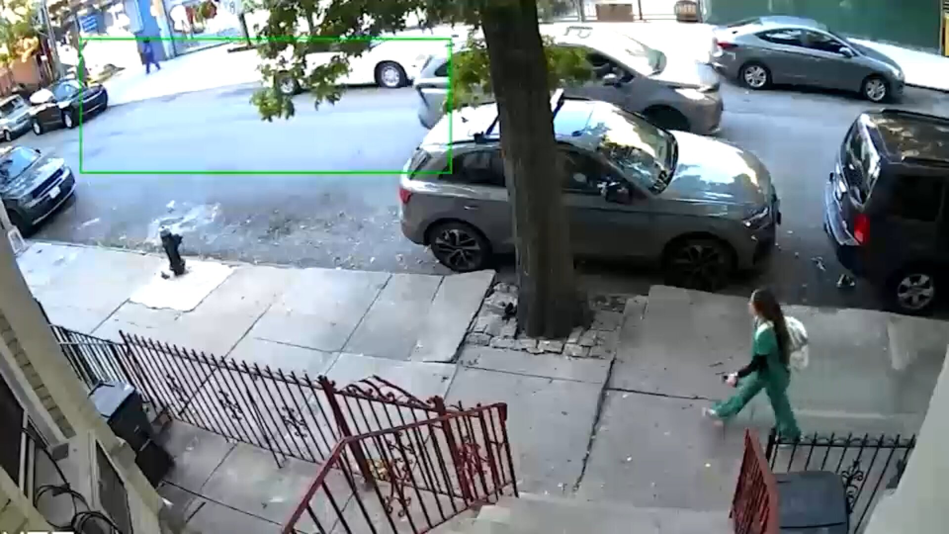 Brooklyn nurse killed in hit-and-run sparks renewed calls for safety improvements