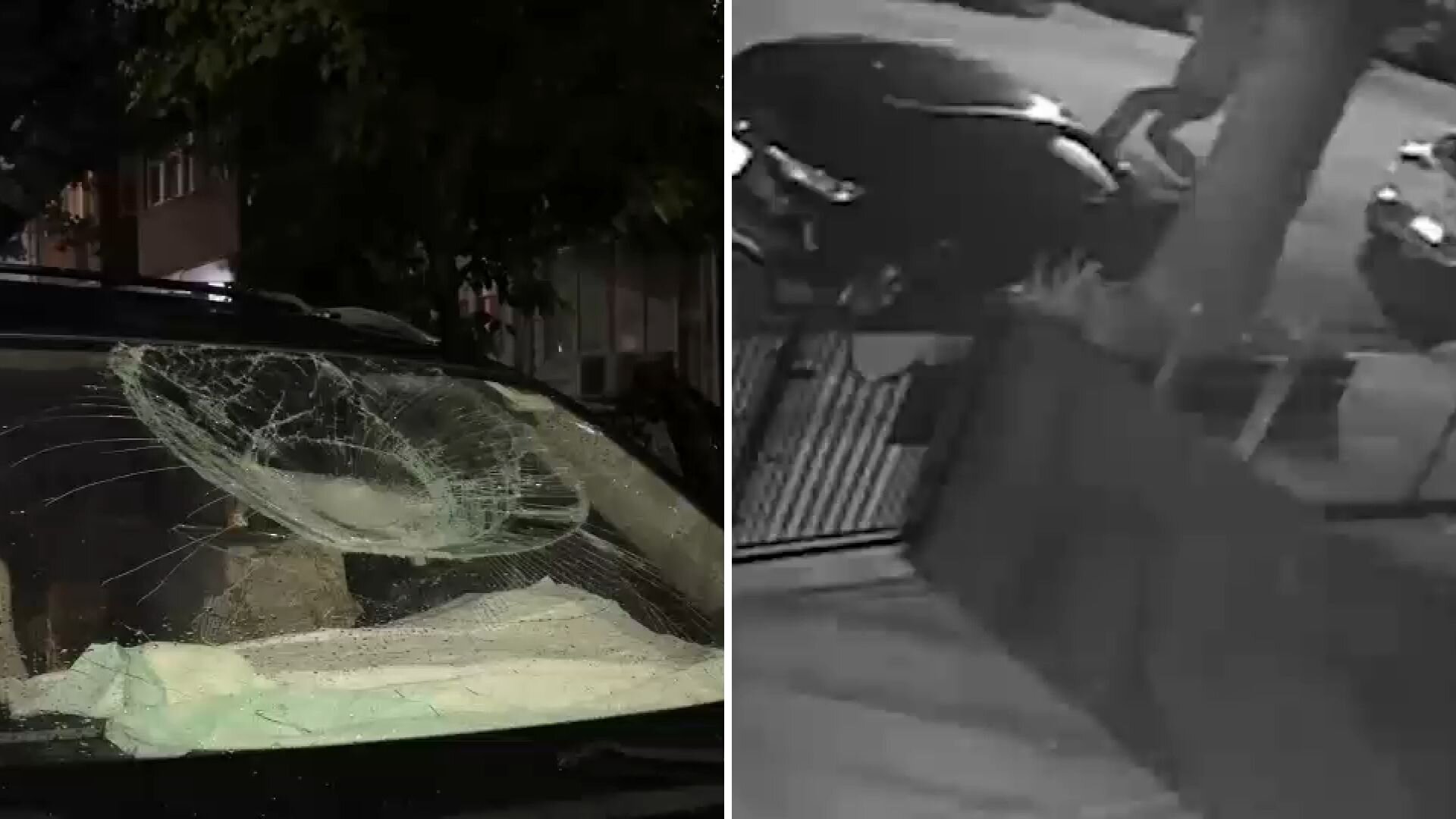 Sheepshead Bay residents seek vandalism suspect wanted for smashing cars