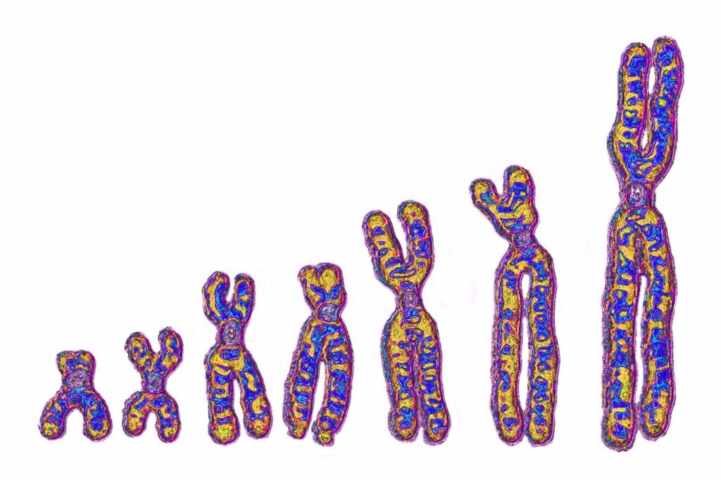 Not just Neanderthals: Ghost lineage in Africa left its mark on our DNA