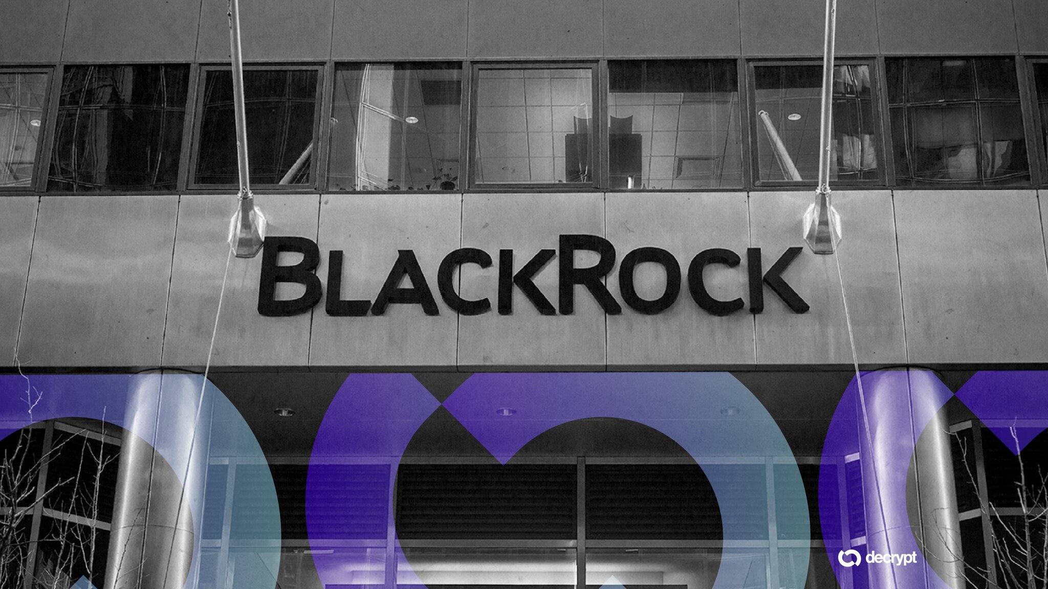 BlackRock Launches Tokenized Money Market Funds on Solana, Ethereum