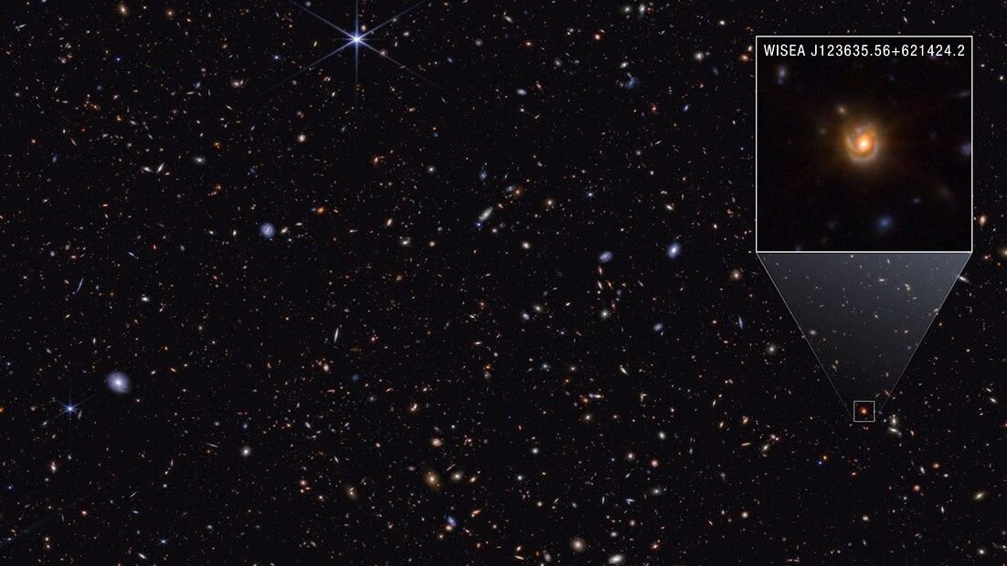 New James Webb telescope image may reveal the true identity of 'little red dots