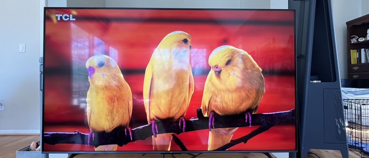 Best Buy just dropped our favorite budget Mini-LED TV to $499 – a brand new record-low price