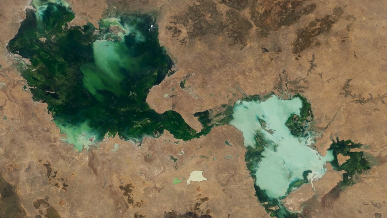 Ghostly green lakes merge in Australian outback after 2 years of heavy rain