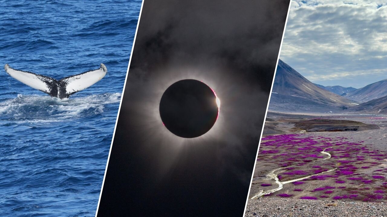 I sailed to Greenland for a total solar eclipse