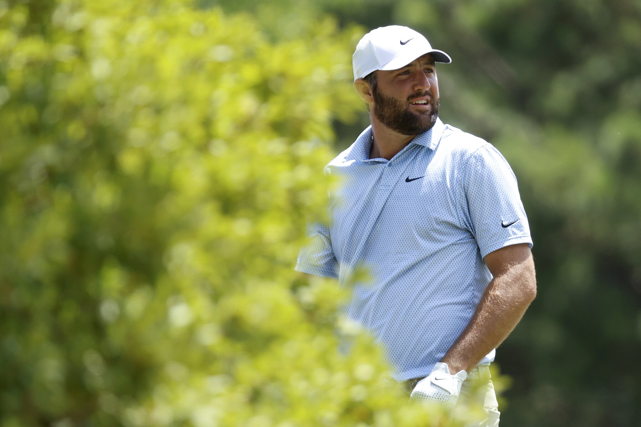 FedEx St. Jude Championship purse, payouts: How much did Scottie Scheffler earn for his win at TPC Southwind?