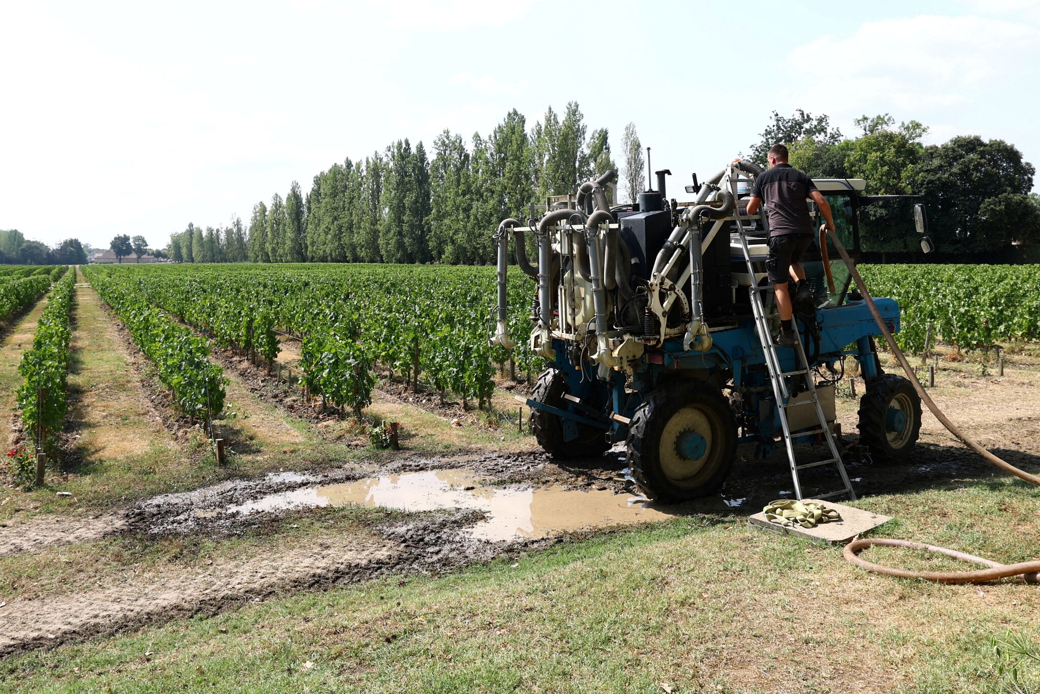 Wildfires near Bordeaux threaten to squeeze France's struggling wine industry