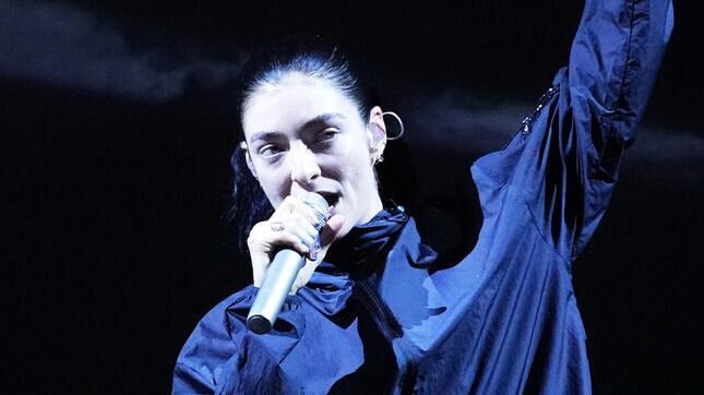 Lorde Pauses Lollapalooza Show As Multiple Fans Pass Out