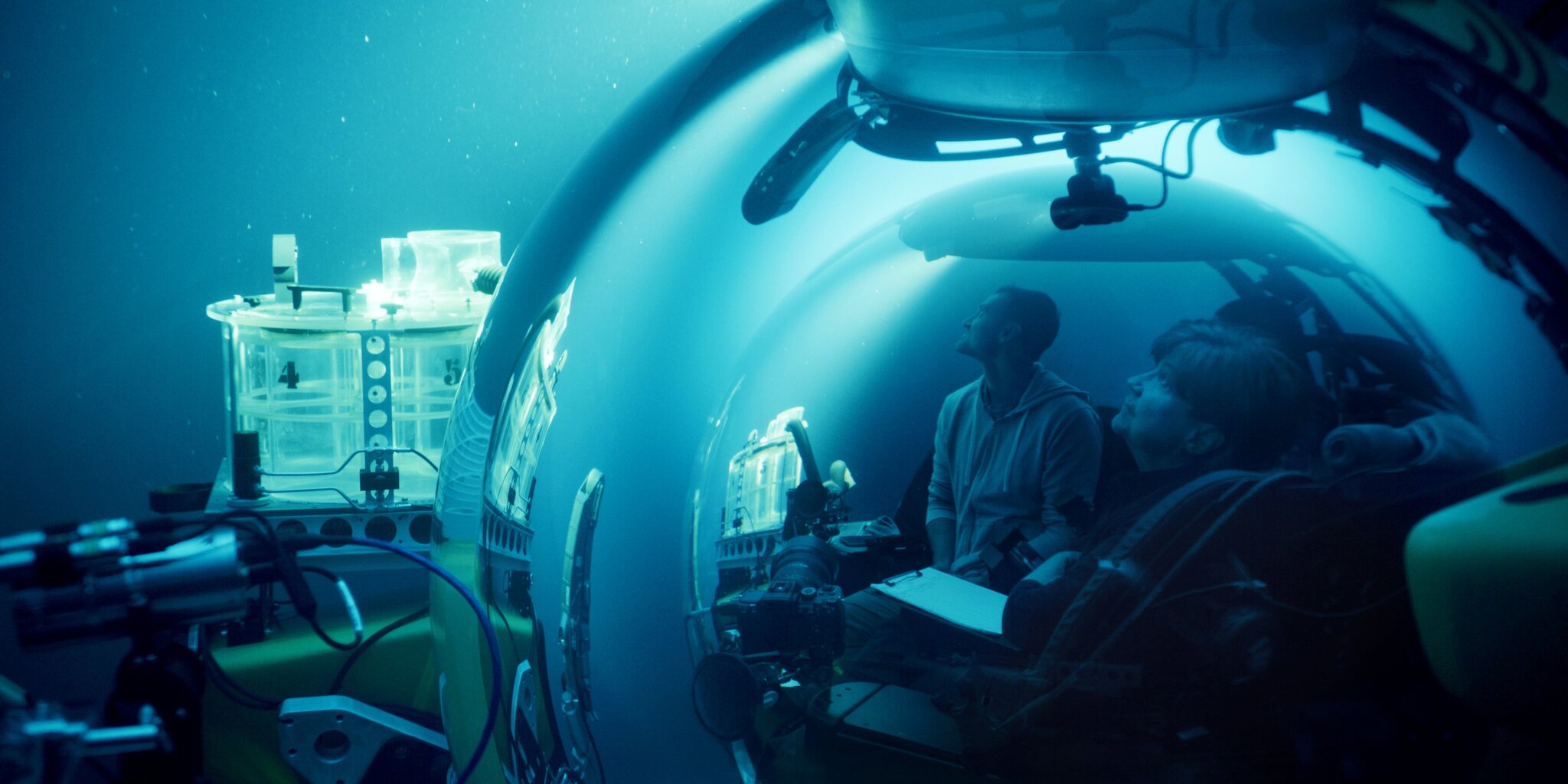 A Life Illuminated’: Of Bioluminescence, Mysterious Sea Creatures, And A Woman Scientist’s Groundbreaking Quest