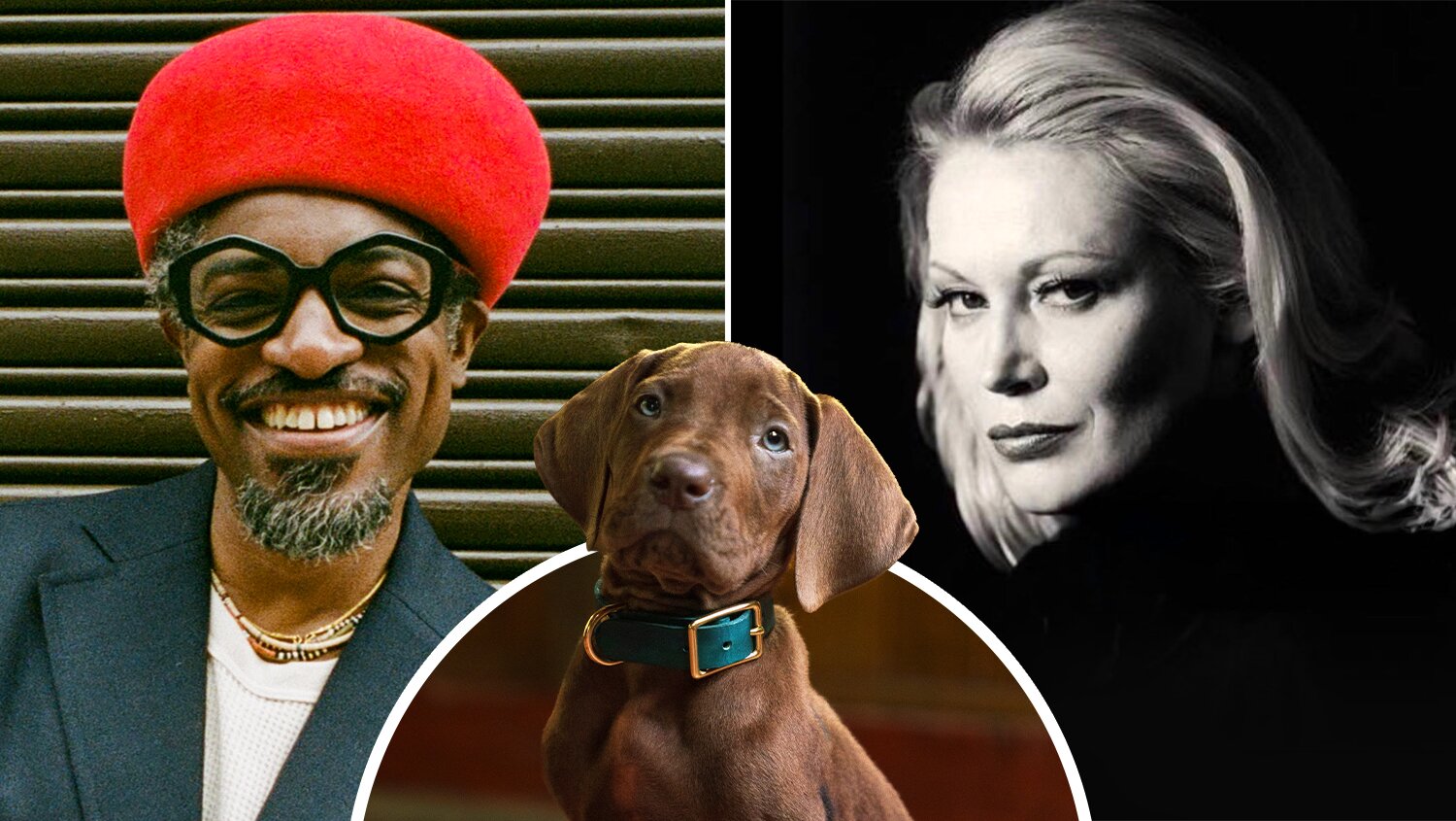 André 3000 & Cathy Moriarty Join ‘Scooby-Doo: Origins’ Netflix Series Cast