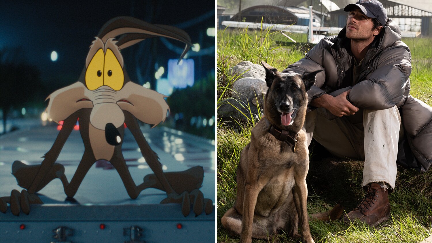 Coyote Vs. Acme’ $1.7M Previews, ‘Dog Stars’ $850K As Canines Rule Thursday