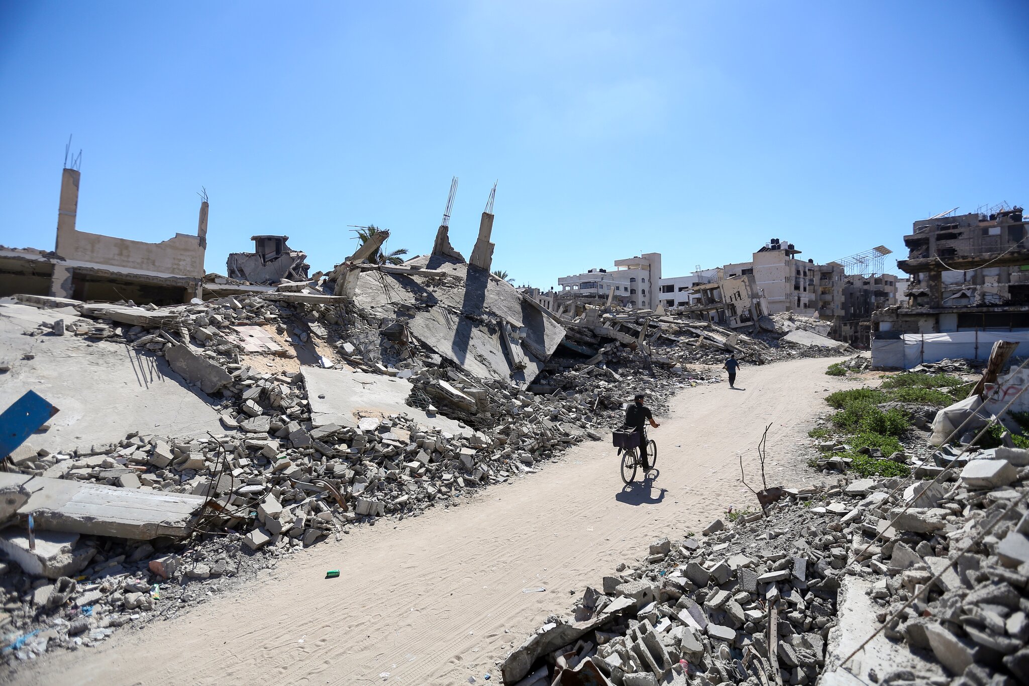 Venice: Palestine-Israel Conflict Set To Be Hot Button Topic As Open Letter Calls For Festival To Take Concrete Action In Support…