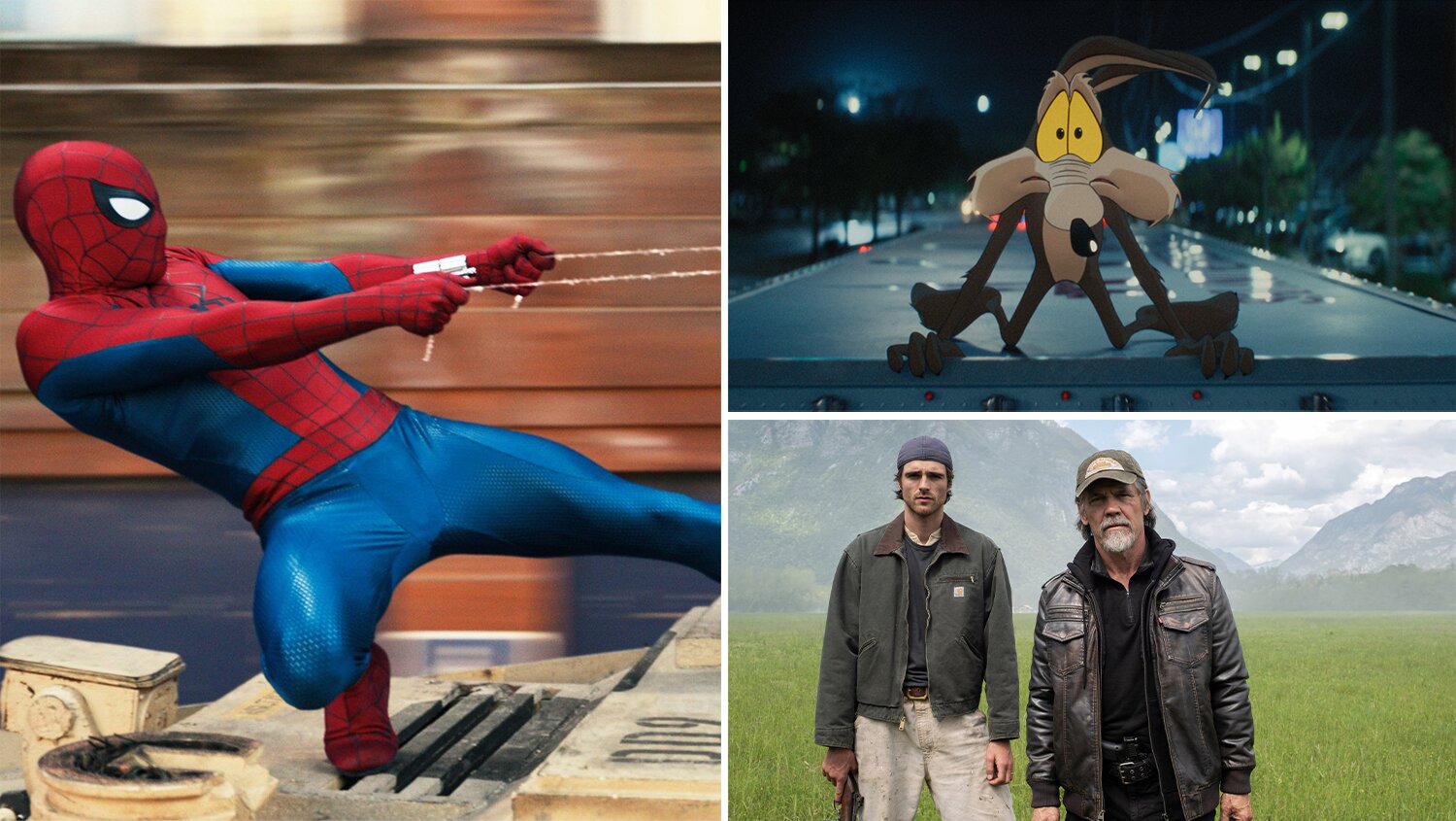 Coyote Vs. Acme’ & ‘Dog Stars’ Barking Up ‘Spider-Man’s Tree With Summer End Near