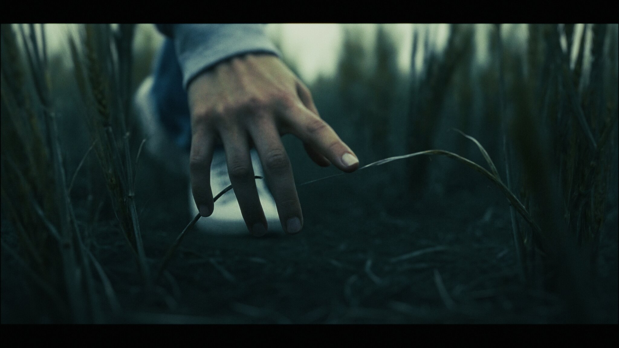 Promise AI Developing Horror Feature ‘Touch Grass’; Dave Clark Directing, Brad Miska And ‘Backrooms’ EP Chris White Producing
