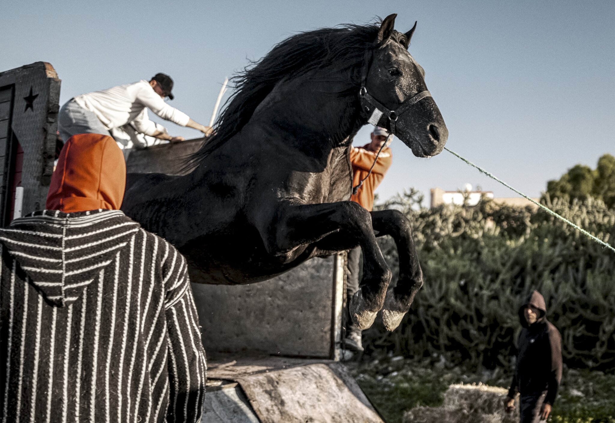New York Film Festival Currents Lineup To Include World Premiere Of Tala Hadid’s ‘Bardi