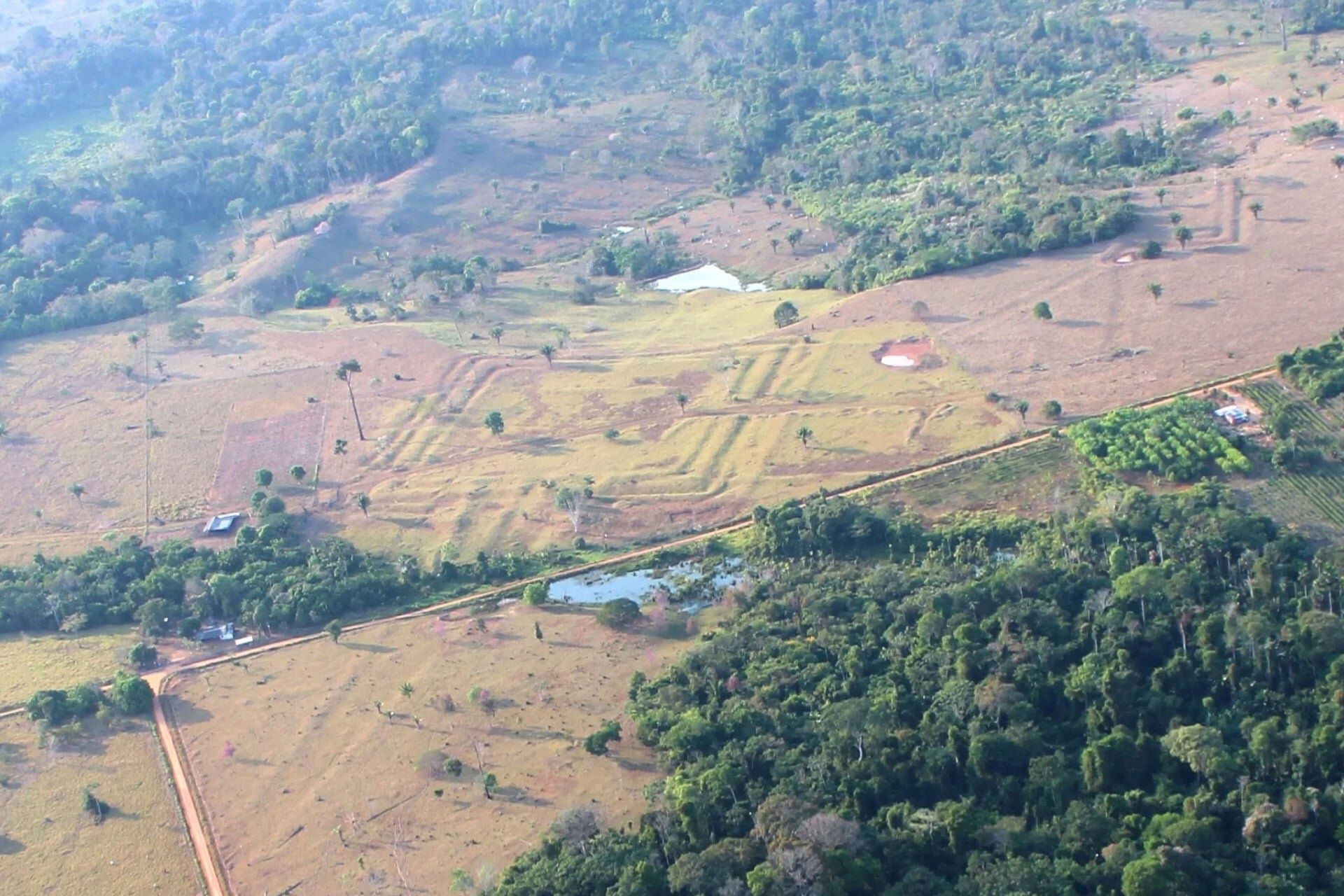 Scientists Find Evidence of Lost Amazonian Civilization That May Have Been Home to Millions