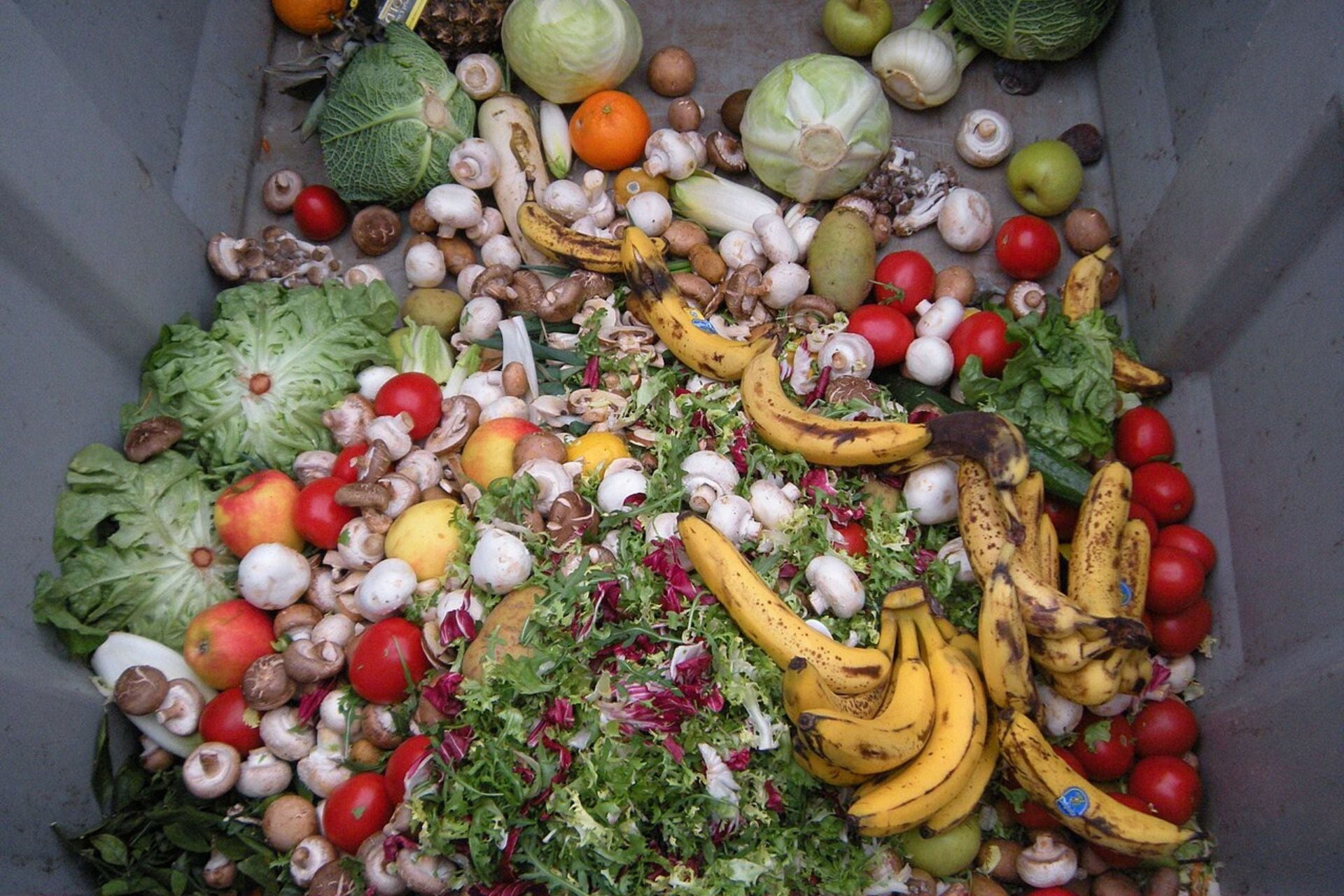 The Fix for Food Waste Comes With a Major Catch