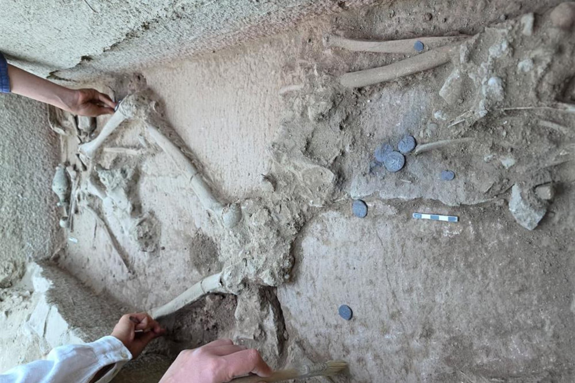 Archaeologists Think a 2,400-Year-Old Grave Belongs to an Ancient Greek Wrestler
